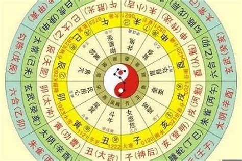 乙巳五行|八字干支解读——乙巳：天生魅骨，向阳而生！